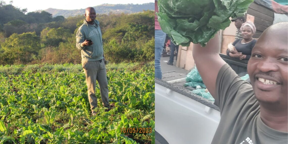 Ihawu Lesizwe Youth Farm in KZN, led by Christopher Mkhize, is fighting food insecurity and unemployment. Discover how this co-op is empowering youth and supplying fresh produce to the Umzumbe community. Photos: Supplied/Food For Mzansi