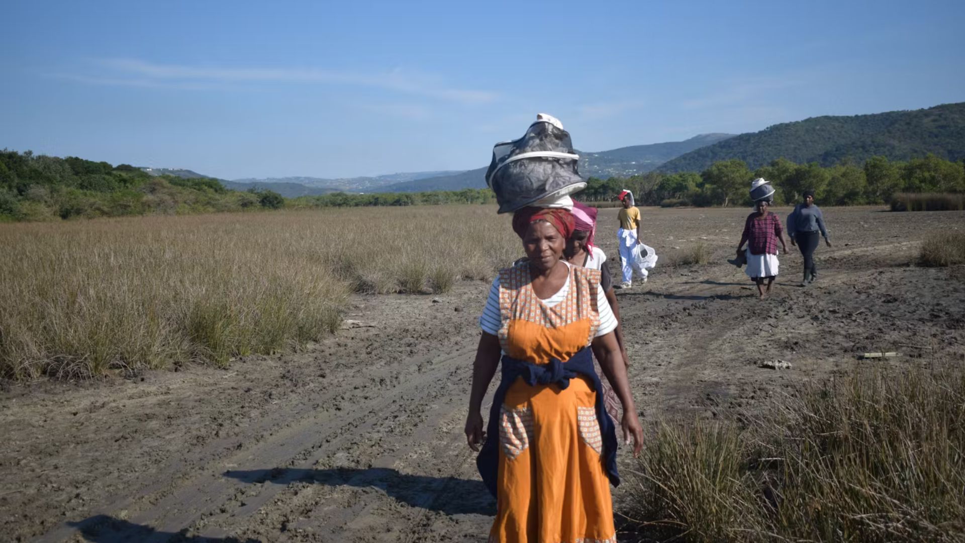 Eastern Cape citrus study reveals women farmers still left behind