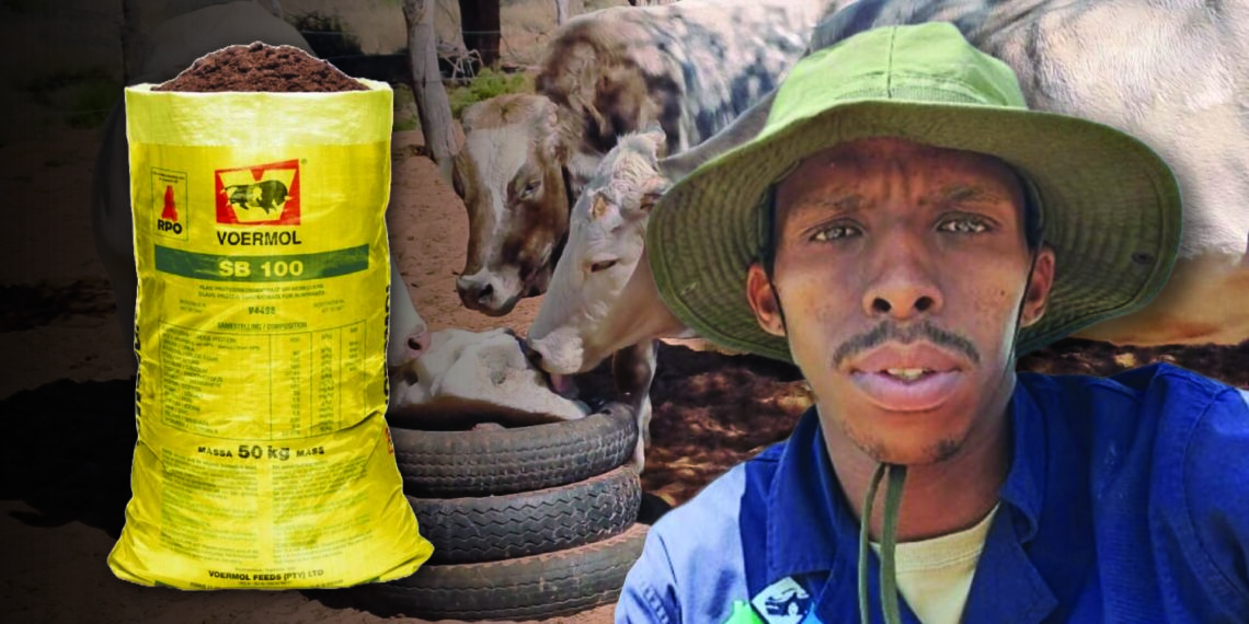 Maungo Mokgoje, a dedicated cattle farmer from Kuruman, shares his journey of overcoming drought and veldfire that wiped out his grazing. Photo: Gareth Davies/Food For Mzansi