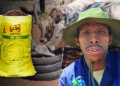 Maungo Mokgoje, a dedicated cattle farmer from Kuruman, shares his journey of overcoming drought and veldfire that wiped out his grazing. Photo: Gareth Davies/Food For Mzansi