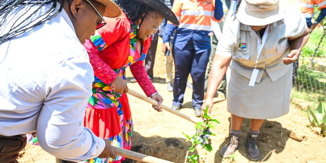 MECs roll up their sleeves to help prepare maize fields at the Gcabhane Sondlisizwe Project in uThukela, KwaZulu-Natal. Photo: Supplied/Food For Mzansi