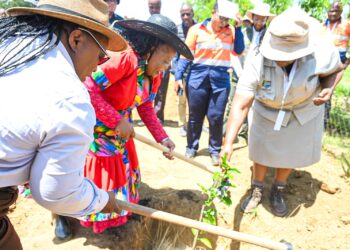 MECs roll up their sleeves to help prepare maize fields at the Gcabhane Sondlisizwe Project in uThukela, KwaZulu-Natal. Photo: Supplied/Food For Mzansi