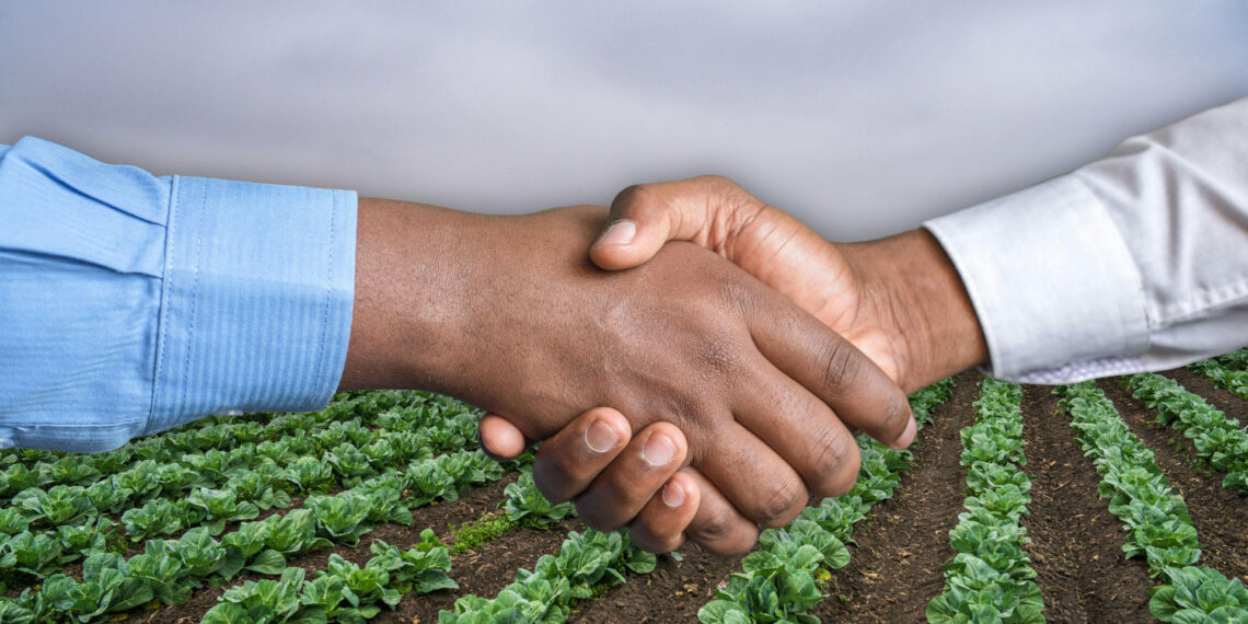 Dr Siphe Zantsi explains how formalising your farming business – through registration, proper record-keeping, and legal agreements – builds credibility, secures funding, opens market opportunities, and ensures long-term sustainability. Photo: Gareth Davies/Food For Mzansi