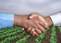 Dr Siphe Zantsi explains how formalising your farming business – through registration, proper record-keeping, and legal agreements – builds credibility, secures funding, opens market opportunities, and ensures long-term sustainability. Photo: Gareth Davies/Food For Mzansi