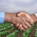 Dr Siphe Zantsi explains how formalising your farming business – through registration, proper record-keeping, and legal agreements – builds credibility, secures funding, opens market opportunities, and ensures long-term sustainability. Photo: Gareth Davies/Food For Mzansi