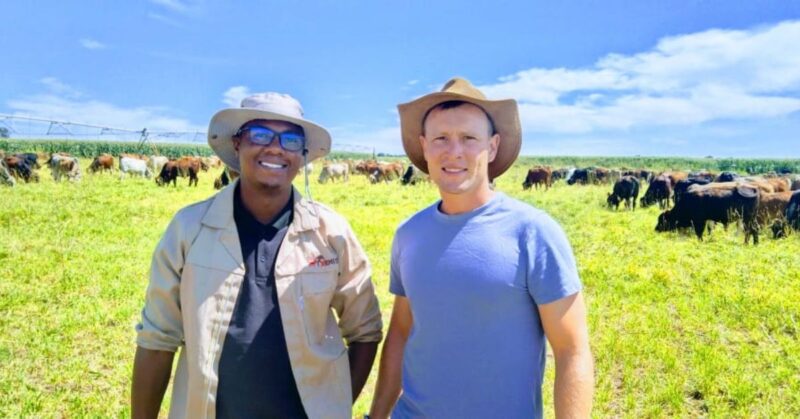 Ernest Makua, livestock technical advisor at RMIS, inspects pastures on a South African farm while discussing nutrient circularity and climate-smart grazing. Photo: Supplied/Food For Mzansi
