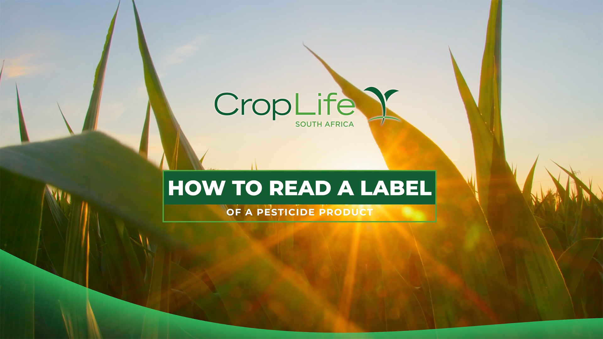 How to read the label on a pesticide product