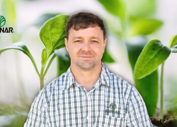 De Bruyn Myburgh, lead agronomist at Pannar Seed, explains how the Panagri™ programme turns farm data into a customised, practical plan for better performance. Photo: Gareth Davies/Food For Mzansi