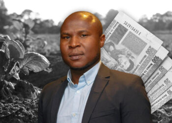 Agricultural economist Thabo Sibiya says South Africa's agricultural transformation is being undermined by chronic underinvestment. Photo: Gareth Davies/Food For Mzansi