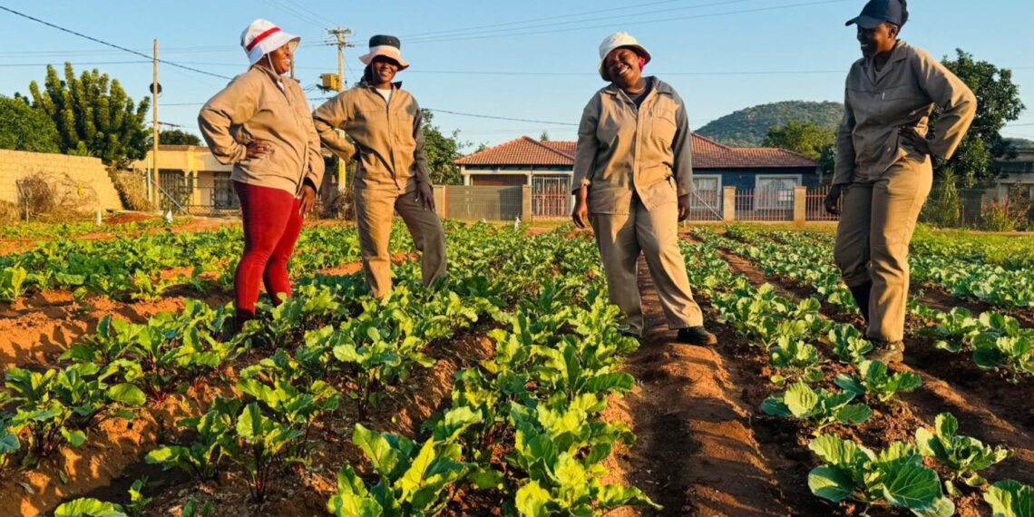 Bogolo Bja Basadi, supported by Seriti Institute and the Citi Foundation Global Innovation Challenge, have transitioned from subsistence farming to thriving agri-enterprises. Photo: Supplied/Food For Mzansi
