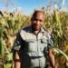 Botlhale Tshabalala shifted from electrical engineering to successfully build a diverse farming enterprise combining crop production and cattle rearing. Photo: Supplied/ Food For Mzansi