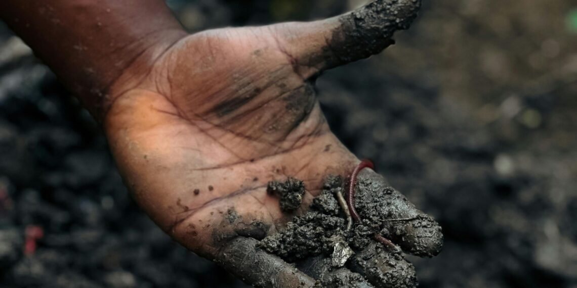 Build healthy soils by boosting organic matter with crop residues, compost, cover crops, minimal tillage, and proper livestock management. Photo: Pexels