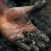 Maintaining organic matter: Key steps to boost soil health
