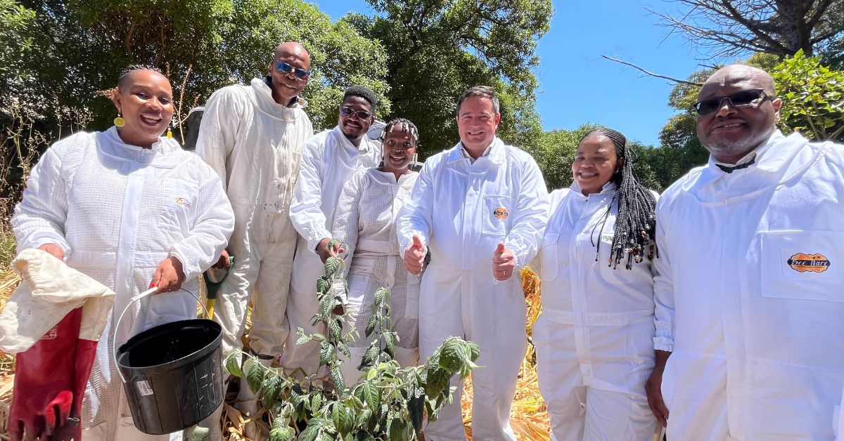 Beekeeping sector poised for growth, jobs, and sustainability