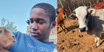 A happy day in a farmer’s life is when he secures a market, and that is one of the biggest highlights for livestock farmer Amogelang Ditlopo from Bethanie in North West. Photos: Supplied/Food For Mzansi
