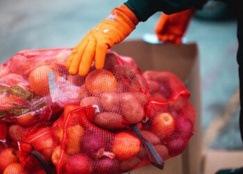 Farmers are urged to think like agripreneurs by embracing fast-moving crops, strong branding, strategic diversification, market research, solid management skills, mentorship, and export-driven opportunities. Photo: Pexels