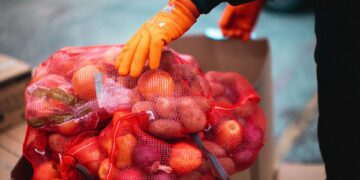 Farmers are urged to think like agripreneurs by embracing fast-moving crops, strong branding, strategic diversification, market research, solid management skills, mentorship, and export-driven opportunities. Photo: Pexels