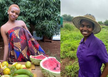 Alongside farming, Amanda Murungi pursues fashion and agroprocessing.
Photos: Supplied/Food For Mzansi