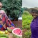 Alongside farming, Amanda Murungi pursues fashion and agroprocessing.
Photos: Supplied/Food For Mzansi