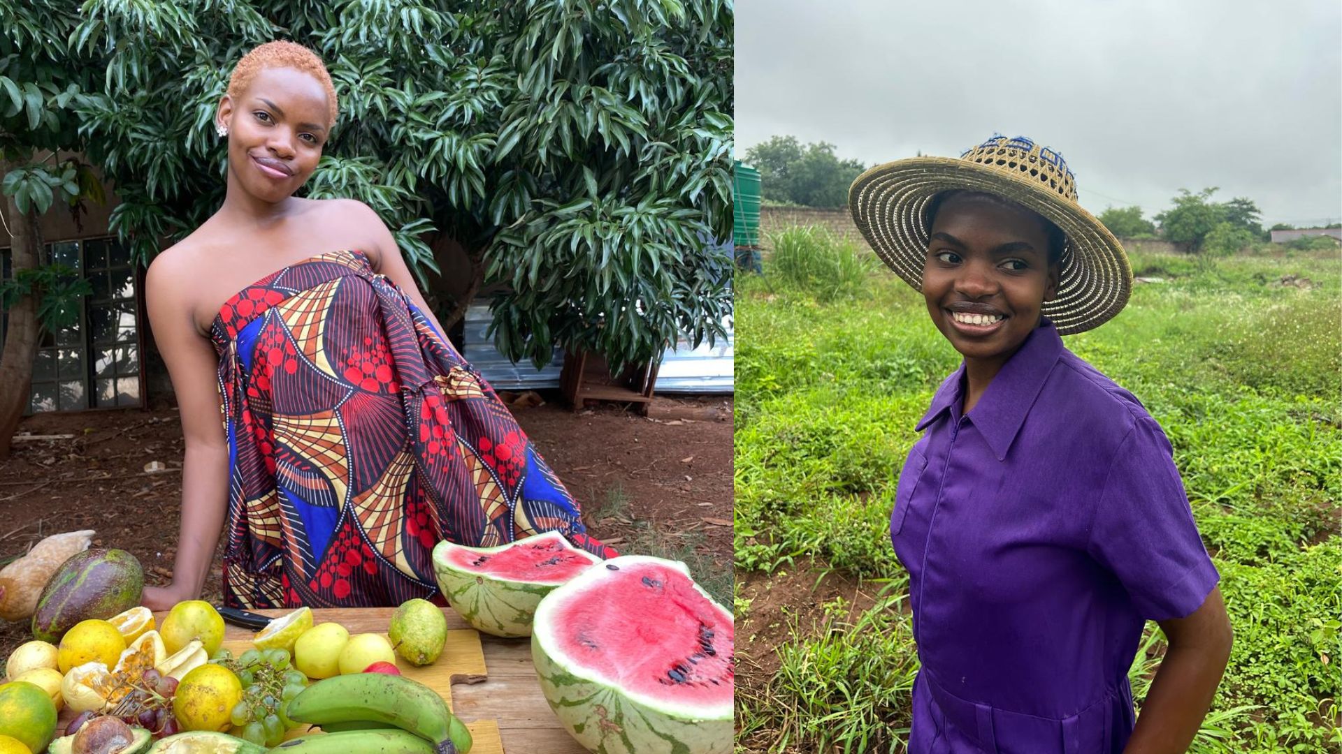 Limpopo farmer finds peace, purpose in the harvest