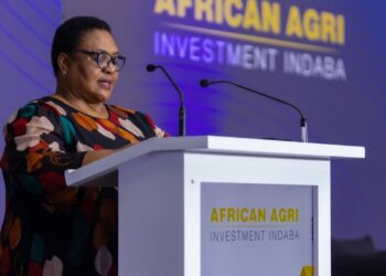 Parliament speaker Thoko Didiza gave an address at the African Agri Investment Indaba on the importance of investing in food security. Photo: Supplied/Food For Mzansi
