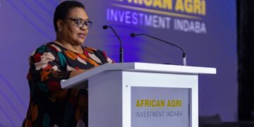 Parliament speaker Thoko Didiza gave an address at the African Agri Investment Indaba on the importance of investing in food security. Photo: Supplied/Food For Mzansi