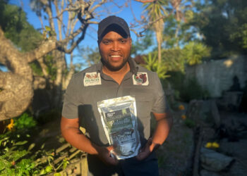 Khanya Bam’s entrepreneurial journey highlights the value of native herbs and environmental care.
Photo: Supplied/Food For Mzansi