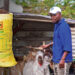 How Voermol’s SS200 supports Kwanda Biyela’s goats