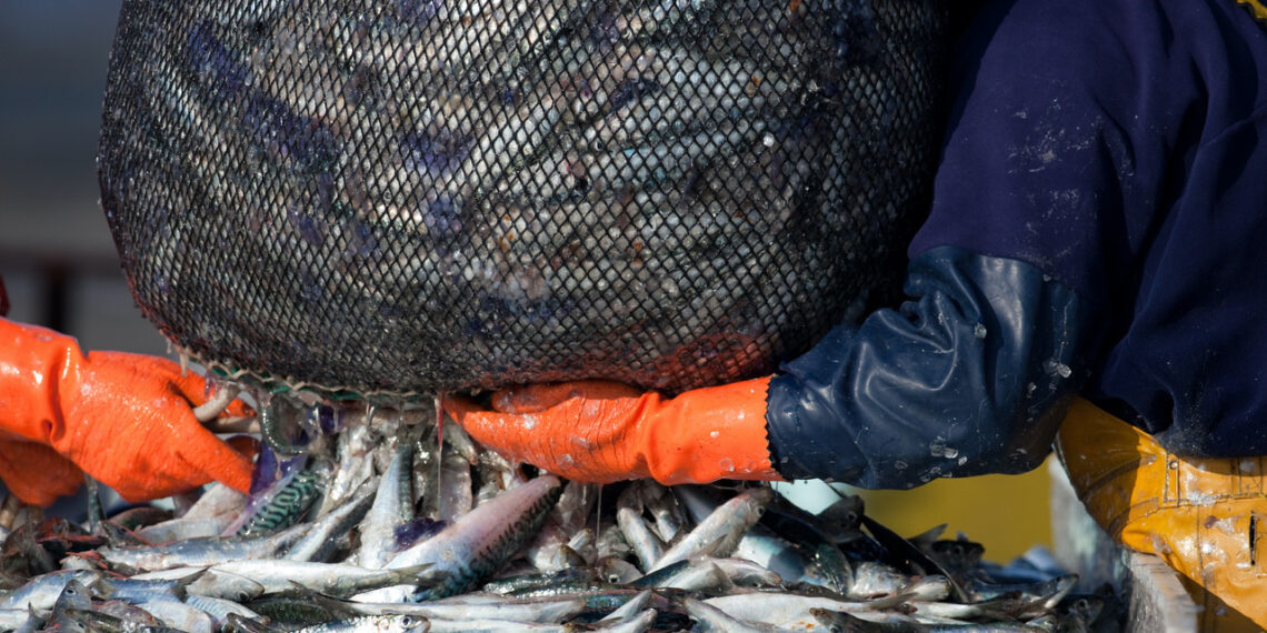 DO NOT REUSE: Stock image provided is for single-use editorial purposes related to this story. Not for reuse.