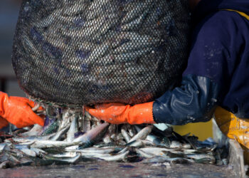 DO NOT REUSE: Stock image provided is for single-use editorial purposes related to this story. Not for reuse.