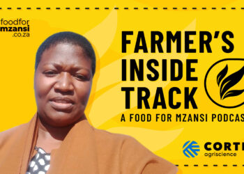 Dora Masehela from Limpopo gained agricultural skills and confidence through Corteva Agriscience’s SoilSistas programme. Photo: Supplied/Food For Mzansi