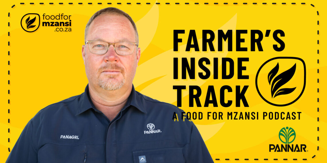 Corné van der Westhuizen, Pannar Seed agronomist, shares insights on managing abiotic stress in sunflowers. Photo: Gareth Davies/Food For Mzansi