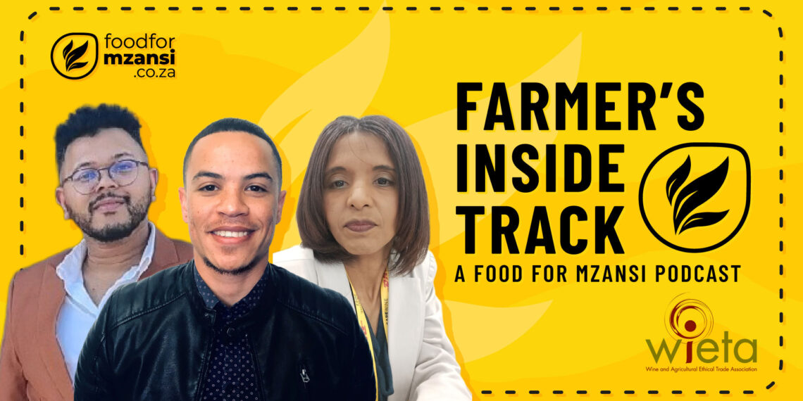 Wieta, Fairtrade Africa, and Stronger Together are reshaping South Africa’s wine industry. Chirstone Hornsby, Evan Cupido, and Emerentia Patientia share their insights. Photo: Gareth Davies/Food For Mzansi