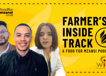 Wieta, Fairtrade Africa, and Stronger Together are reshaping South Africa’s wine industry. Chirstone Hornsby, Evan Cupido, and Emerentia Patientia share their insights. Photo: Gareth Davies/Food For Mzansi