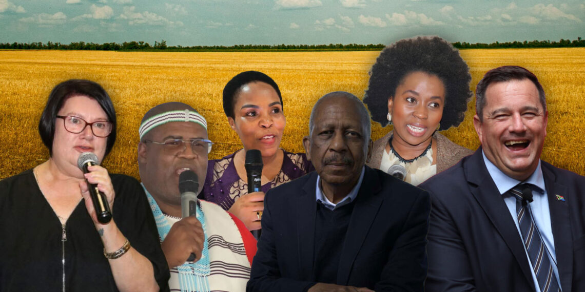 Agricultural leaders have reflected on the year 2025 and praised farmers for their vital role in food security. Photo: Gareth Davies/Food For Mzansi