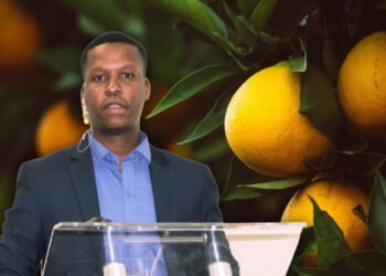 Dr Lucius Phaleng is a trade advisor at the Animal Feed Manufacturers Association (AFMA). Photos: LinkedIn/Gareth Davies/Food For Mzansi