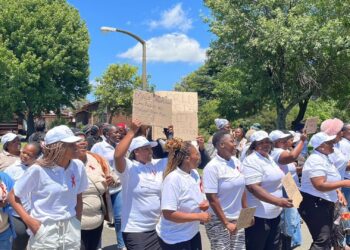 Seriti Institute's Social Employment Fund (SEF) in Komati stabilises communities, boosts skills, and promotes inclusive growth in an economically challenged area. Photo: Seriti