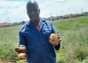 Inspired by litter-filled land, Innocent Sukazi transformed a 2.4-hectare dump in Vosloorus into a thriving vegetable and rabbit farm. Photo: Supplied/Food For Mzansi