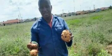 Inspired by litter-filled land, Innocent Sukazi transformed a 2.4-hectare dump in Vosloorus into a thriving vegetable and rabbit farm. Photo: Supplied/Food For Mzansi