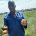 Trash to triumph: Sukazi transforms wasteland into farmland