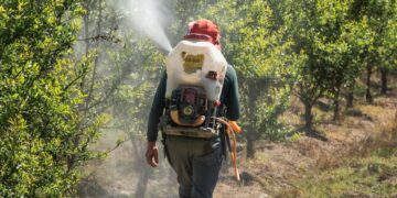 South African farmers are being urged to use science-based planetary boundary tools to better understand their land, water, biodiversity and emissions limits and strengthen sustainable farming in line with PDALA. Photo: Pexels