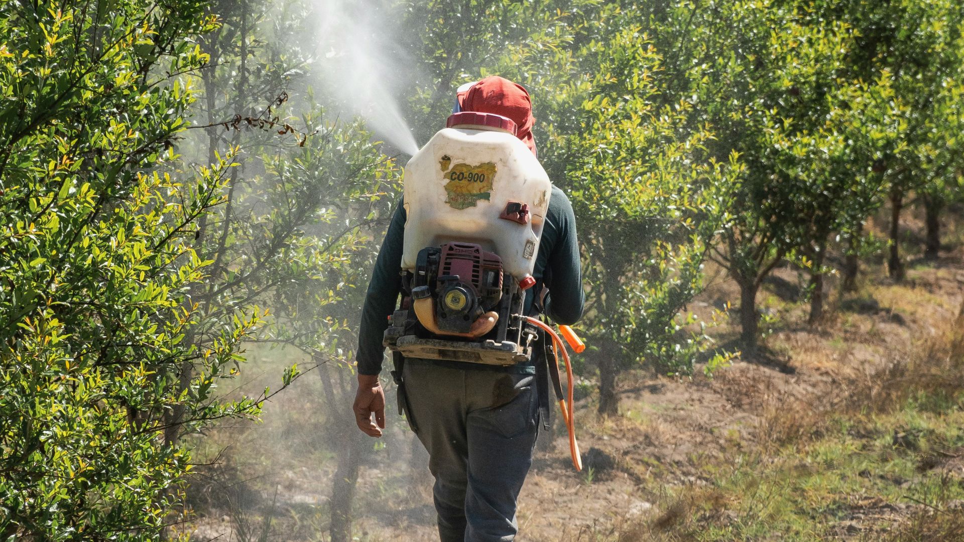Farming within limits: Understanding planetary boundaries