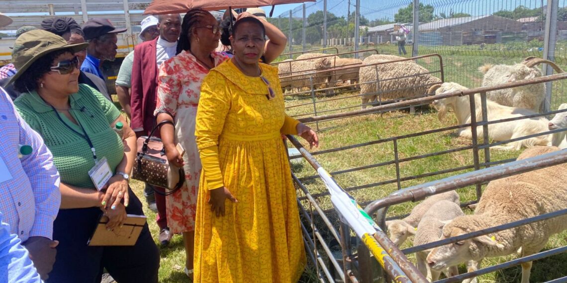 From dairy to wool and fruit to meat, the Chris Hani District Agricultural Show celebrated the power of local production. Photo: Supplied/Food For Mzansi