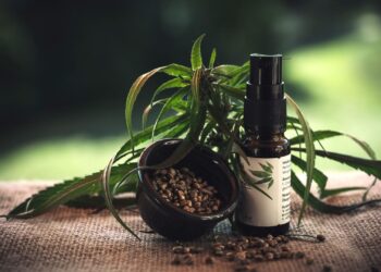 The global hemp seed market presents massive opportunities for Mzansi farmers. Experts suggest targeting lucrative niches like high-quality oil and hulled seeds for premium markets in Europe and Asia. Photo: Pixabay