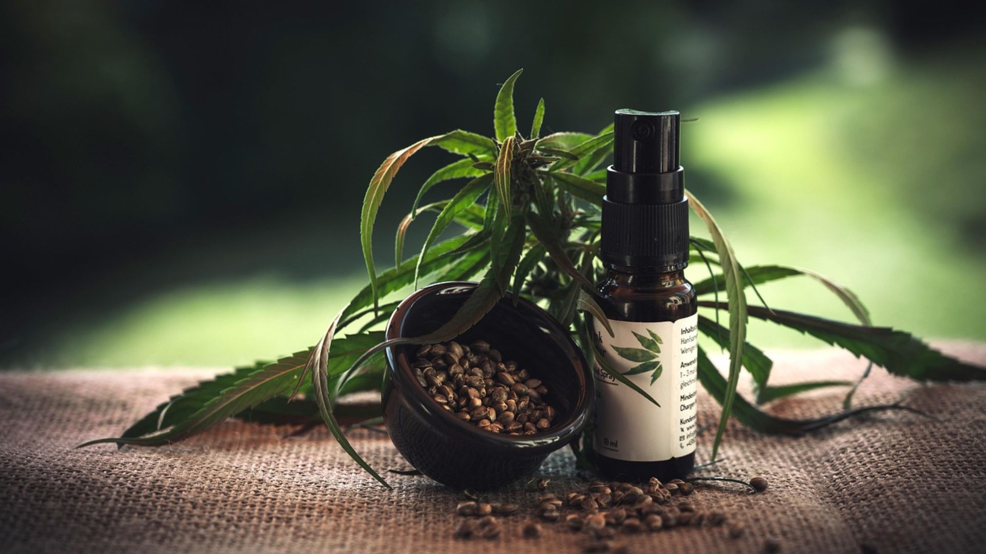 Why hemp could be the next big thing for local producers