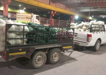 Some of the produce from Ukuvuka Ekuseni Agricultural Primary Cooperative. Photo ECDC
