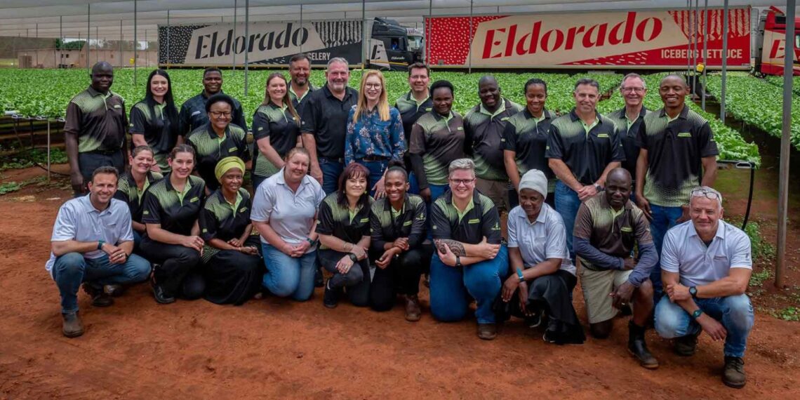 Eldorado Fresh has become a national leader in sustainable hydroponic lettuce farming, earning it the Shoprite Group’s 2025 Supplier of the Year in the Fresh Produce category. Photo: Shoprite