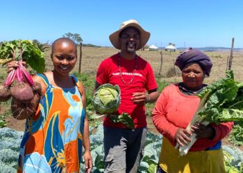 Founded in 2019, Phawu Agripak Co-operative has become a strong example of how small-scale, community-led agriculture can thrive in drought-prone rural areas. Photo: Shoprite