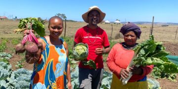 Founded in 2019, Phawu Agripak Co-operative has become a strong example of how small-scale, community-led agriculture can thrive in drought-prone rural areas. Photo: Shoprite