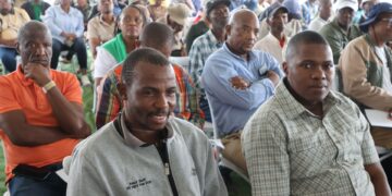 North West has launched its Provincial Goat Improvement and Beneficiation Programme to boost genetics and support emerging farmers. Photo: Supplied/Food For Mzansi